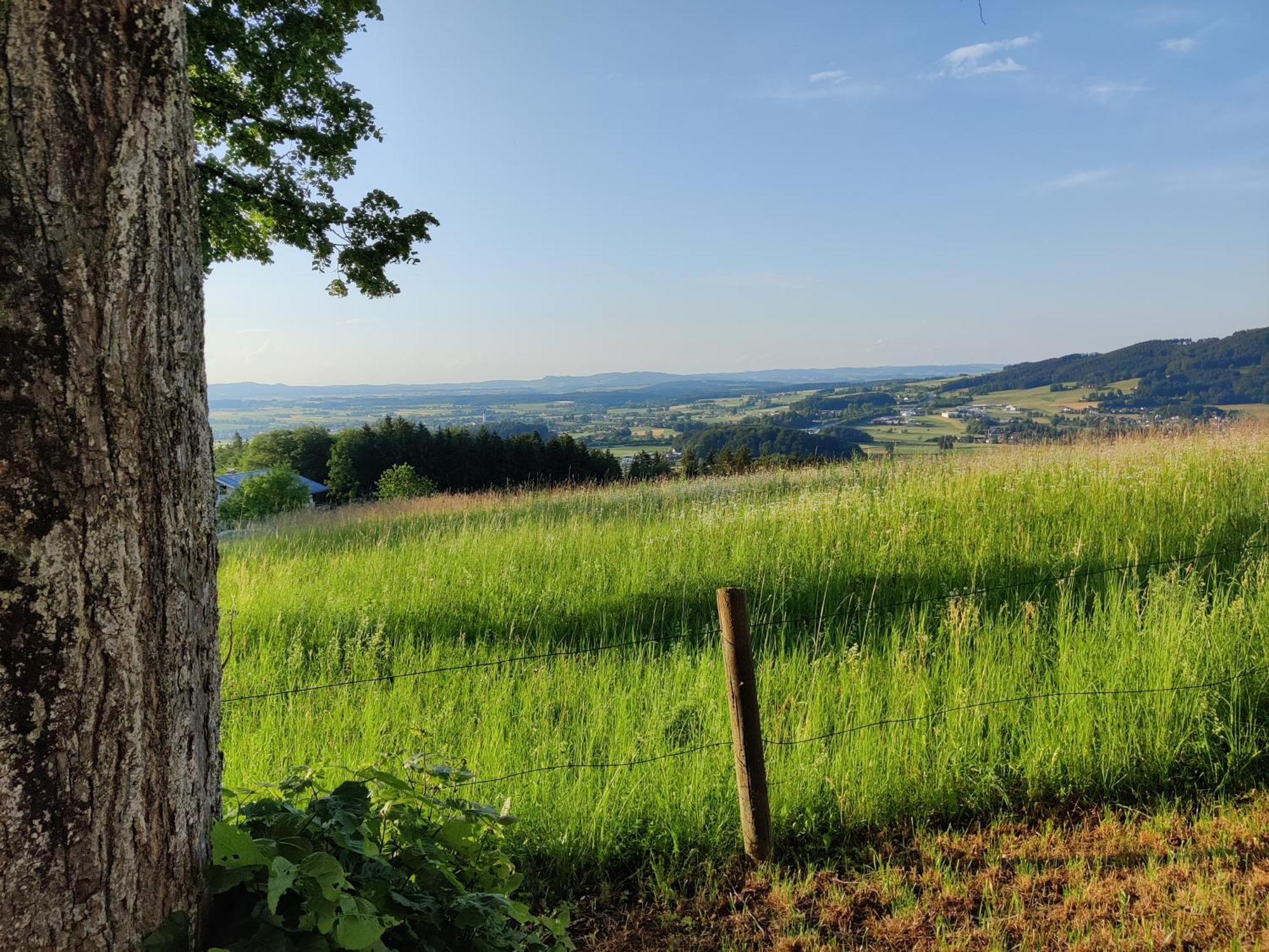 Pension Holzapfel Sankt Georgen im Attergau Dış mekan fotoğraf